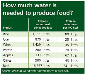 Table showing average water needed to produce various food products