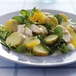 Watercress, orange and potato chicken salad 250x250