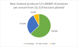 NZ Potato Production