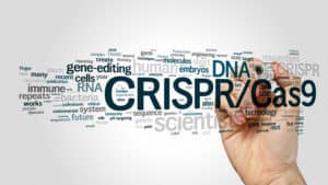 PNZ3 Gene Editing