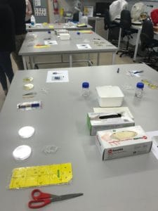 training lab