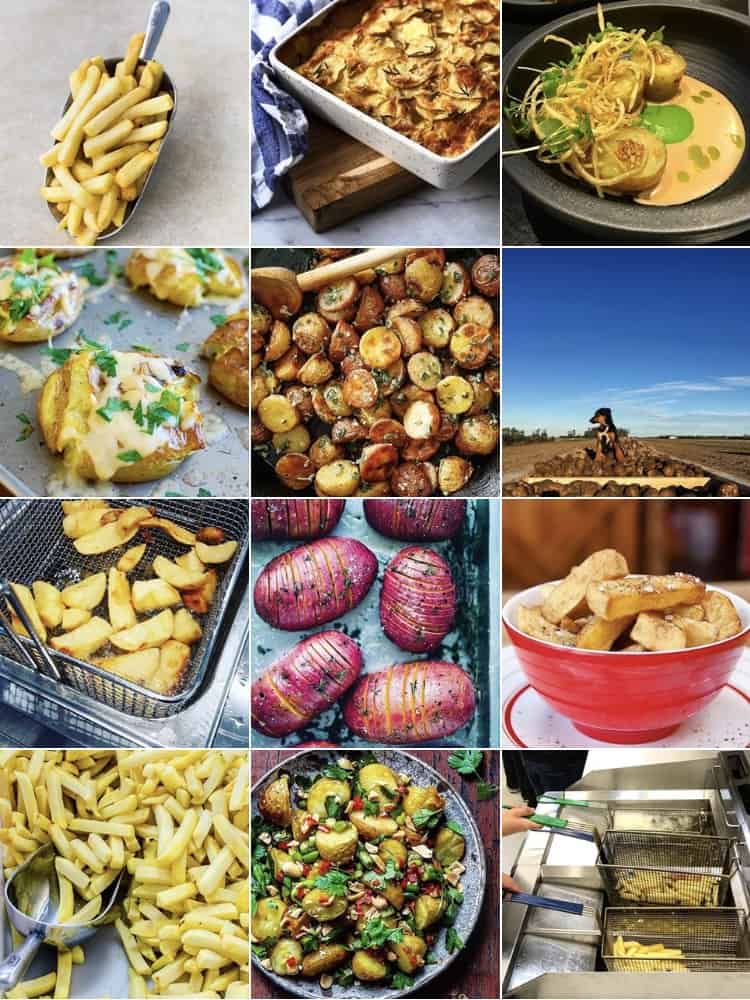 PNZ 06 Insta Page