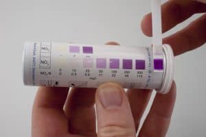 005 Nitrate Strip