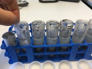 006 Nitrogen testing