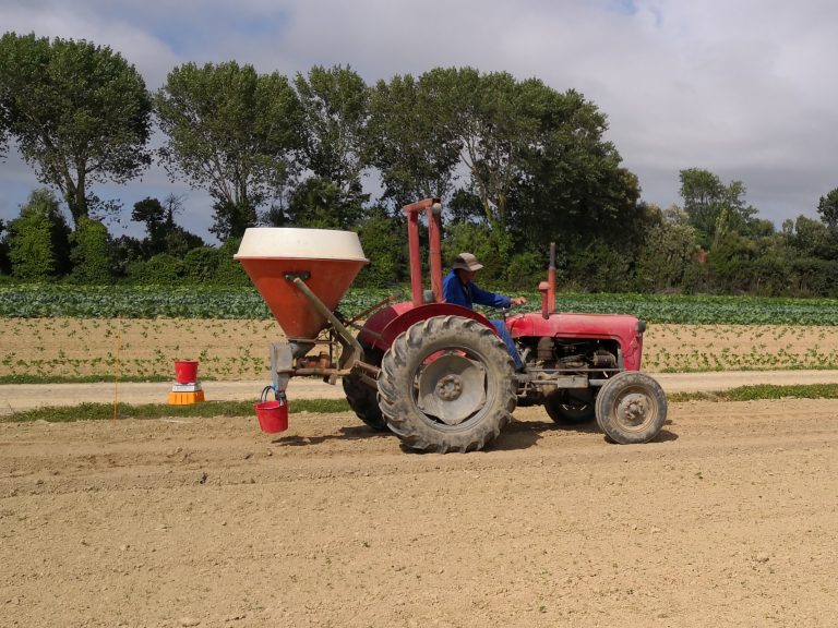 Red tractor with seed planter working on dry farm field