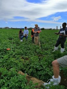 Group of people inspecting green agricultural field with blue sky.