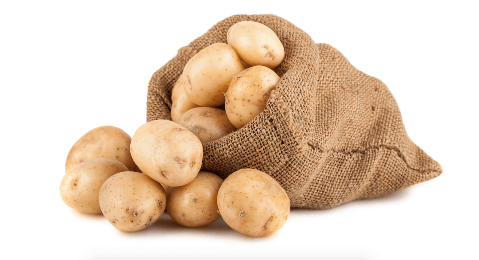 Burlap sack spilling fresh whole potatoes on white background