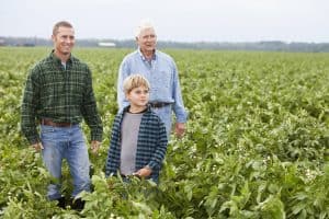 Three generations of men working on the family farm, standing in a potato field ready for harvesting. The main focus is on the boy, 8 years old, standing one step in front of his father and grandfather. They are wearing jeans and plaid button-down shirts, smiling and watching something.