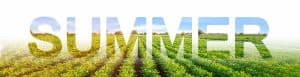 The word summer on the background of potato plantation. Winter crops. Season of the year, active phase of growing, harvesting. Time to stock up on vitamins, improve your health. Vacations