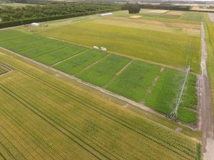 Aerial view of irrigated agricultural fields with trucks