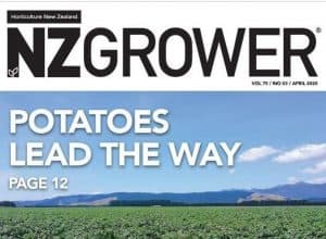 NZG cropped