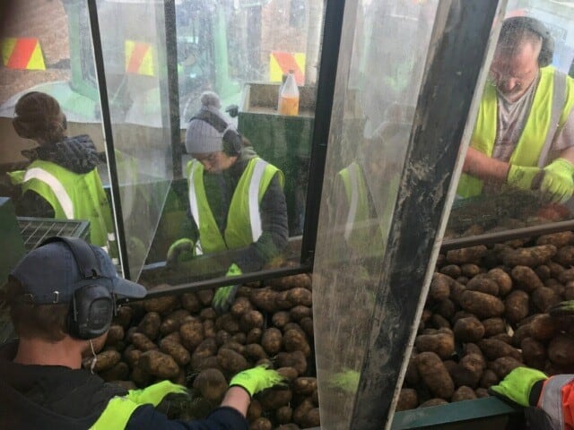 Guy-Slater-screened-grading-line - Potatoes New Zealand