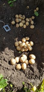 G 2 Annat Farms new photos 20200122_091948