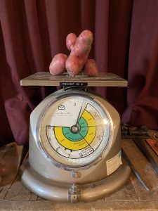 Vintage postal scale weighing unusually shaped sweet potatoes