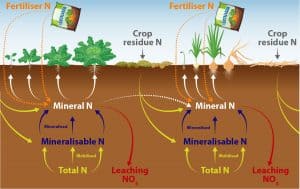 Soil nitrogen cycle with fertiliser, mineralisable nitrogen, and crop residue.