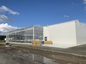 Modern greenhouse structure with glass and metal framework outdoors