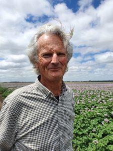 Older man with gray hair standing in flowering potato field