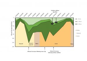 Soil mineral nitrogen levels over time with cover crops and fertilizer additions