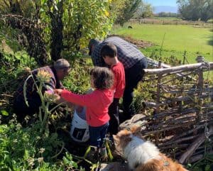Children and adults gardening together outdoors with dog nearby