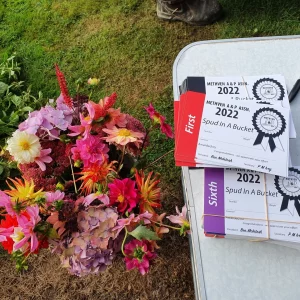 Colorful flower bouquet next to 2022 Methven A&P Association award certificates.