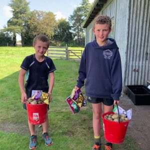 Two boys holding red buckets filled with harvested potatoes outdoors