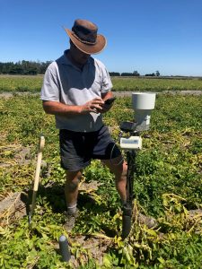 Farmer using smartphone to check agricultural sensor in field.