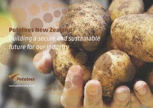 Close-up of dirty potatoes held in hands, Potatoes New Zealand branding.