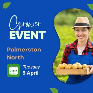Palmerston North