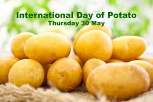 Fresh organic young potatoes