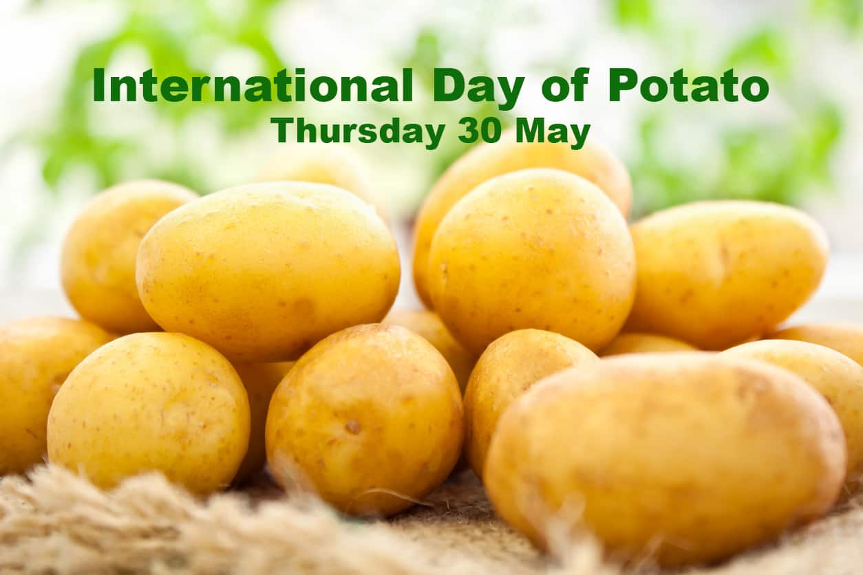 Fresh organic young potatoes