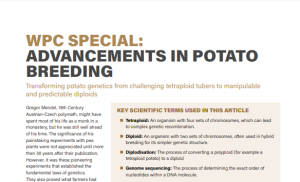 WPC Special on advancements in potato breeding genetics article