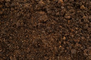 Rich dark soil texture close-up with organic matter