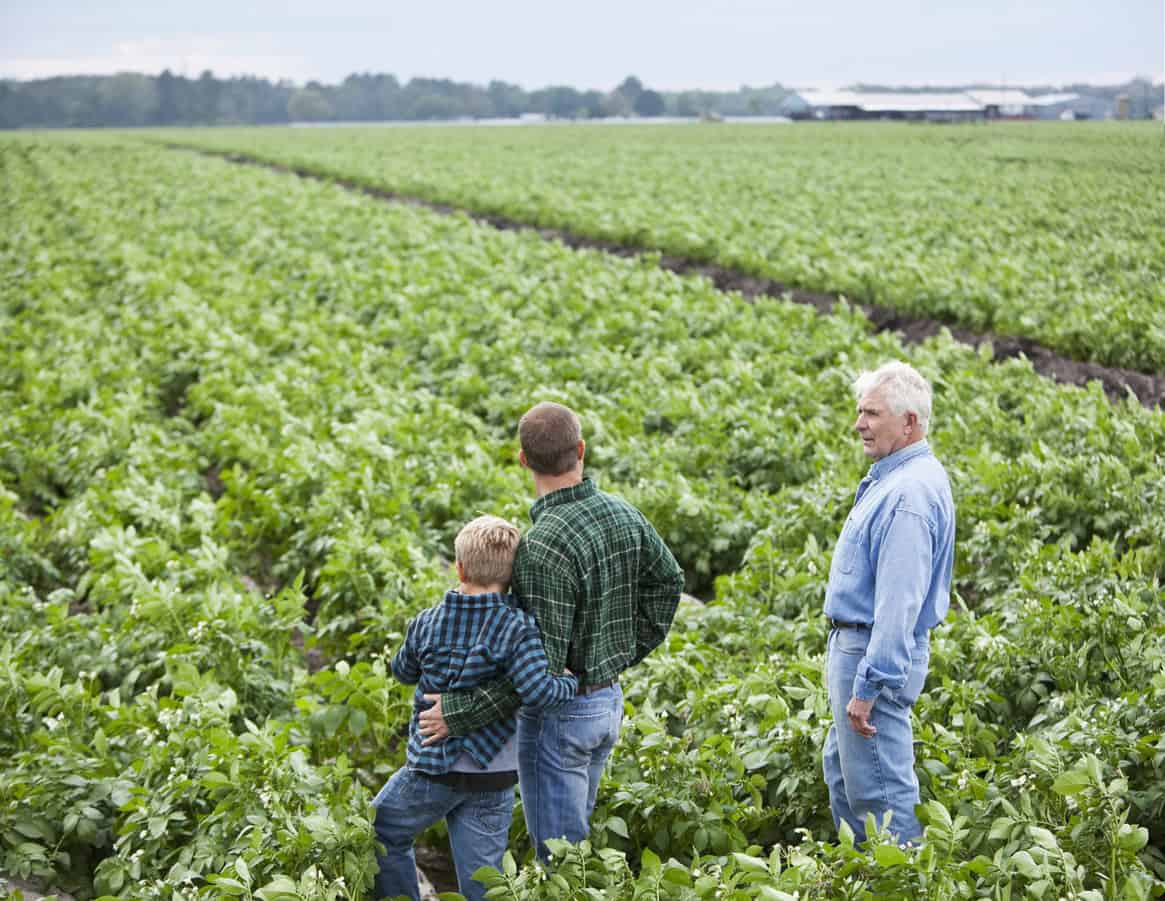 Family farm