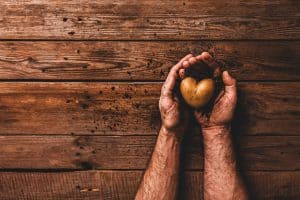 Natural heart shape potato and soil in farmerâs hands on wooden background
