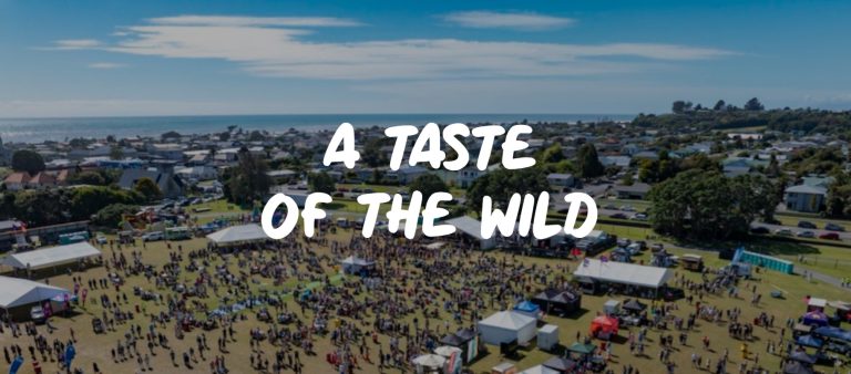 Aerial view of outdoor festival with tents and crowd.