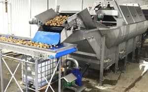 Industrial potato washing machine cleaning potatoes on conveyor belt.
