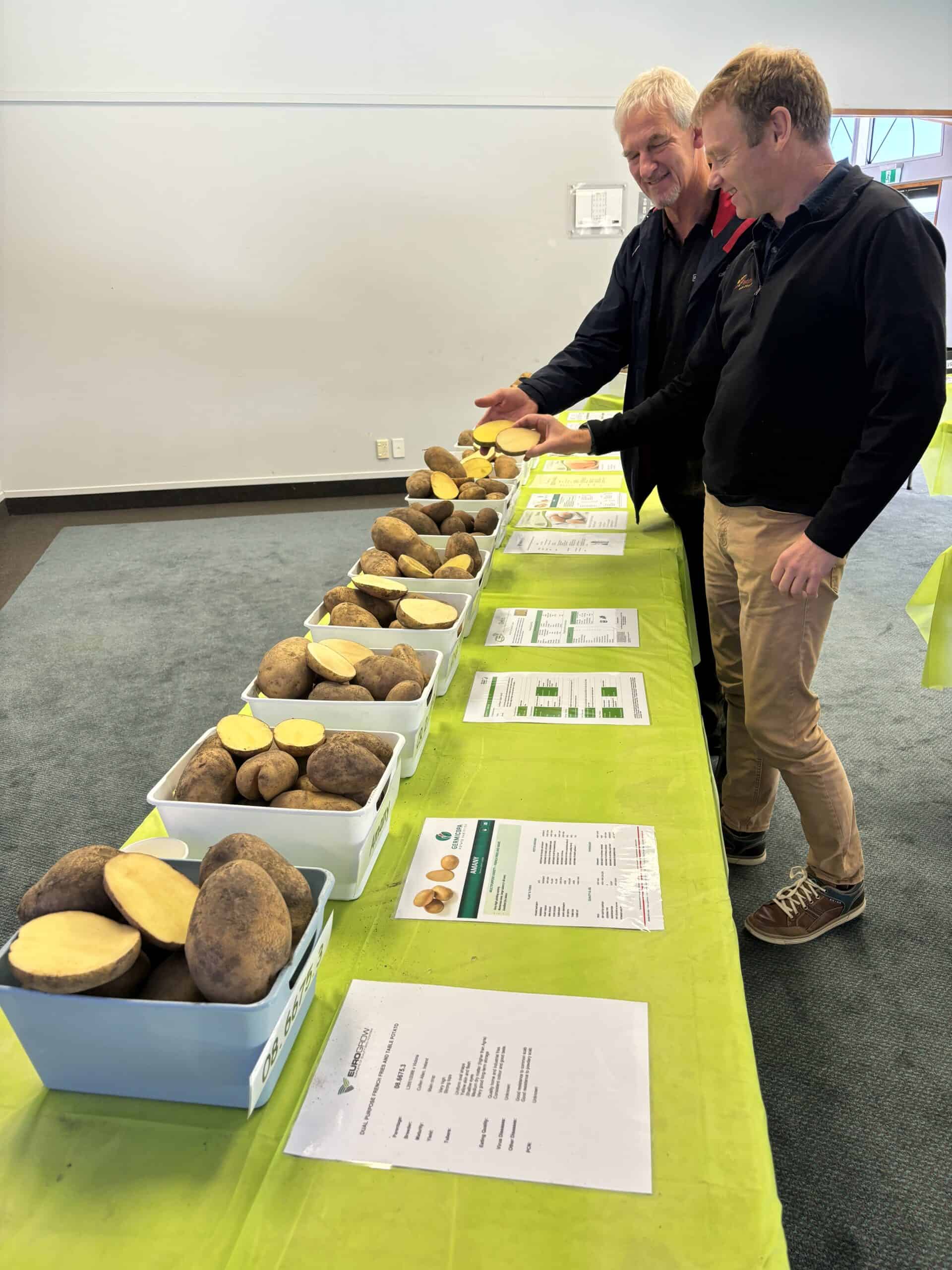 Iain Kirkwood inspecting potato varieties