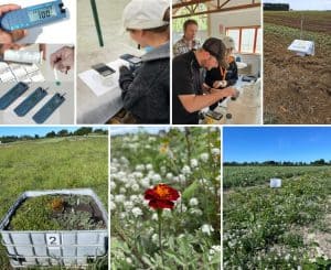 Agriculture research with soil testing and plant growth analysis