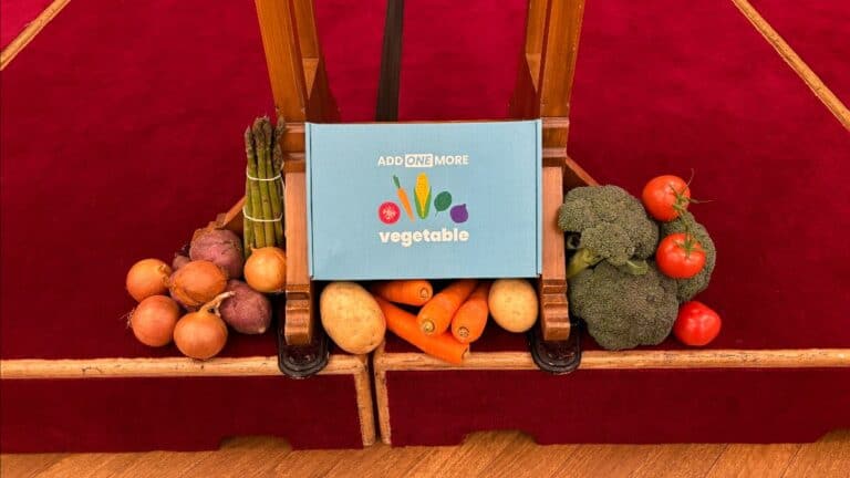 Box with "Add One More Vegetable" text surrounded by fresh vegetables