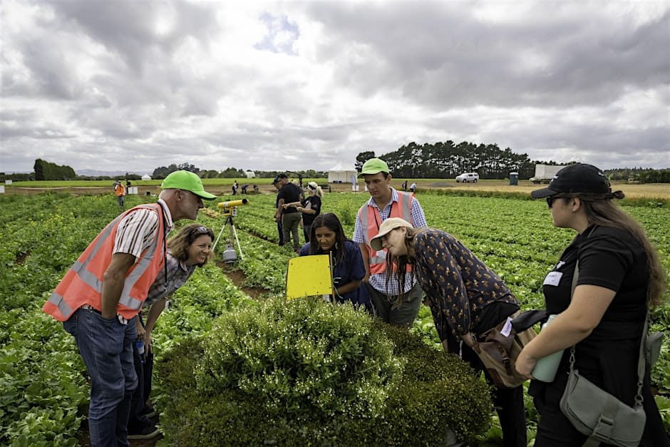 Group of people examining plants in a green agricultural field
