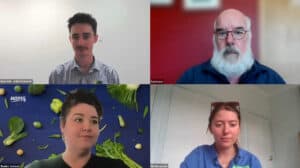 Virtual meeting with four professionals in agriculture and vegetables.