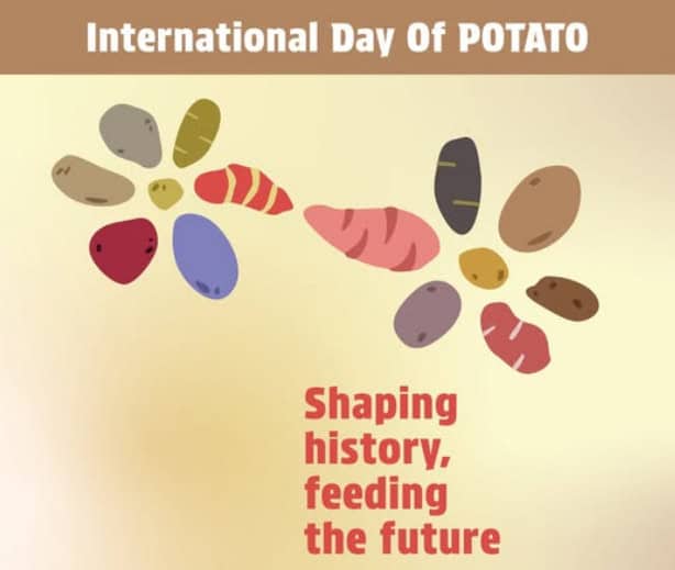 International Day of Potato with various colorful potato illustrations.