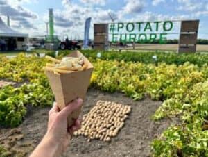 Hand holding fries cone at European potato farm event
