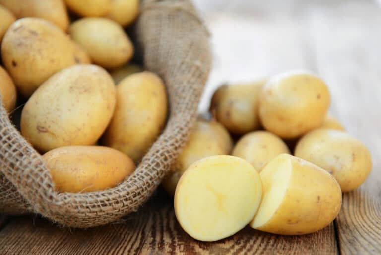 Fresh yellow potatoes spilling out of burlap sack on wooden surface