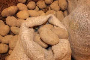 Bag of potatoes - Burlap