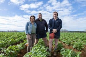 Three farmers standing in green crop field under blue sky