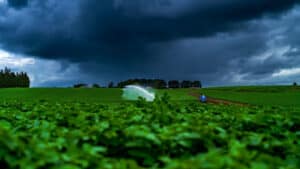Green agricultural field with irrigation sprinkler under dark storm clouds