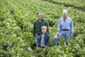 Three generations of farmers standing in green potato field