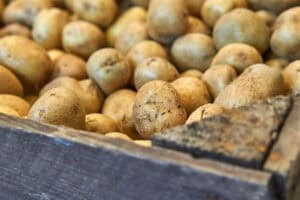 Potato storage
