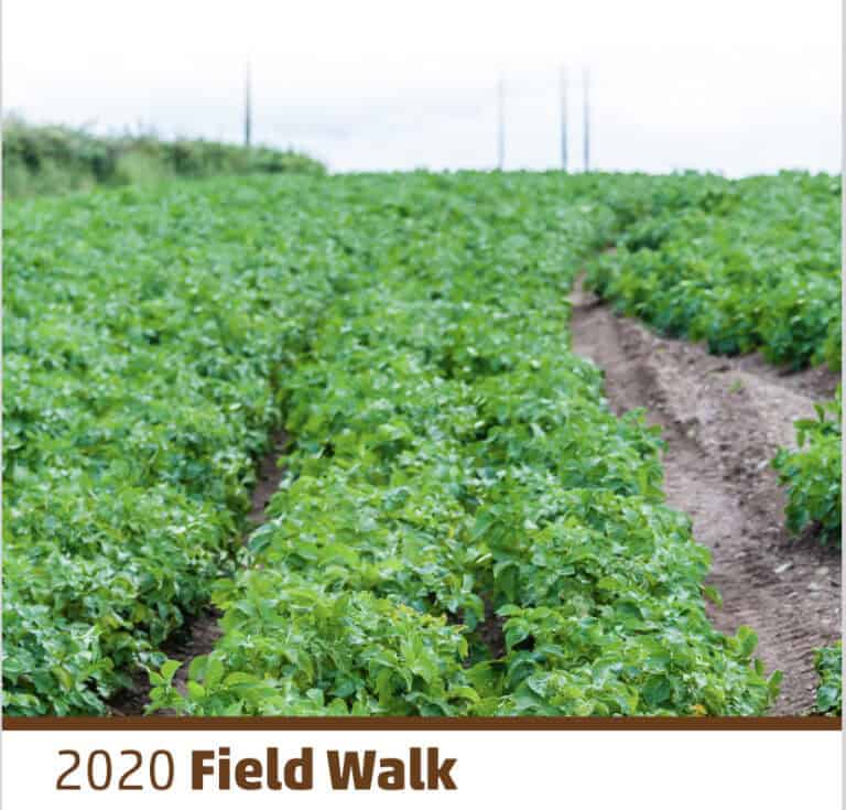 Field Walks Handbook – 2020